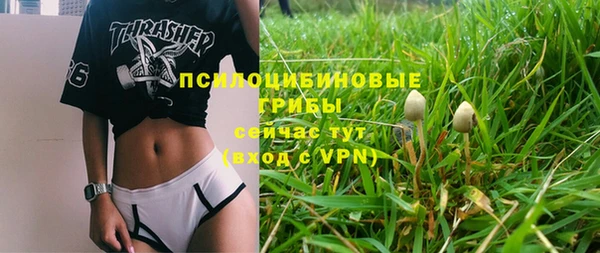 прущая мука Богданович