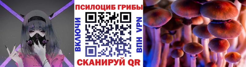 Галлюциногенные грибы мухоморы  Купить где  Арзамас 